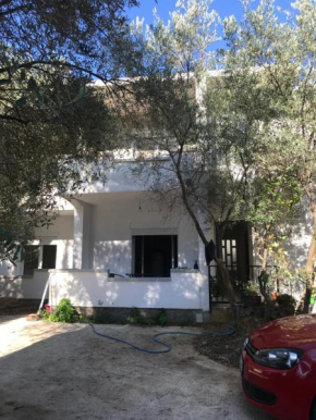 Apartmani AMB
